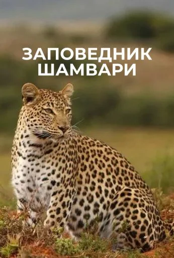 Заповедник Шамвари (2018) онлайн бесплатно